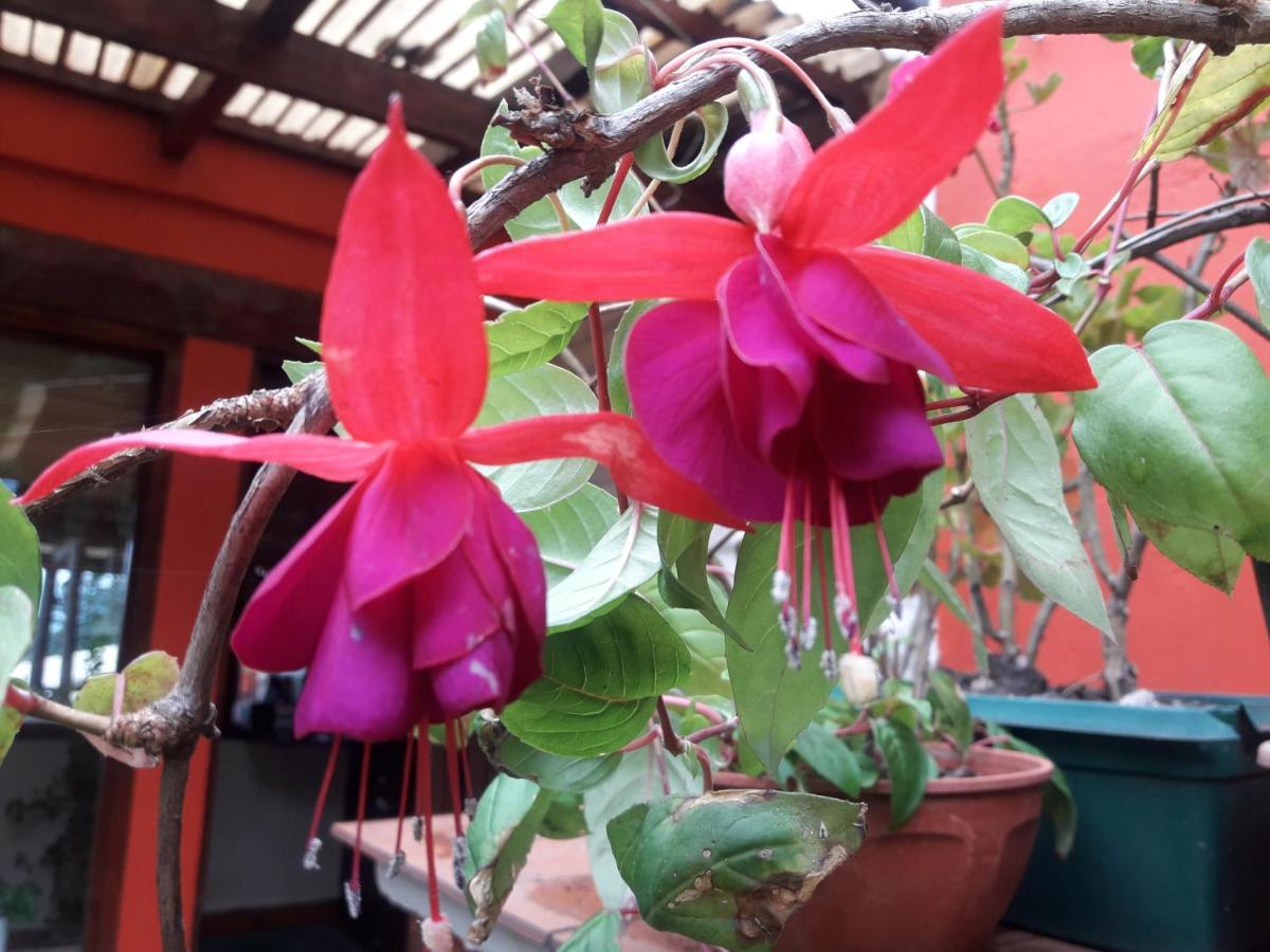 Posada La Sonada Тафи-дель-Валье Экстерьер фото